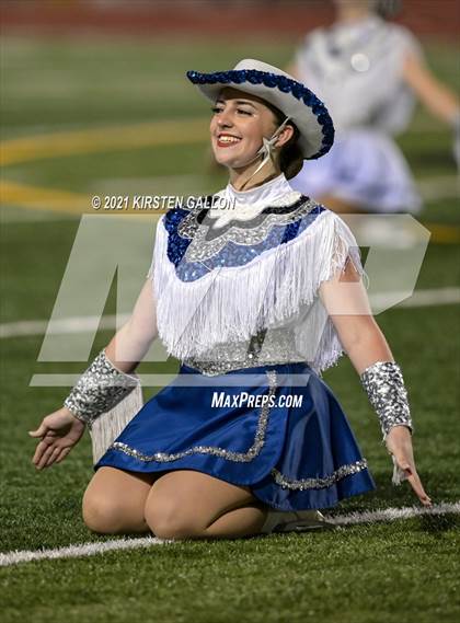 Thumbnail 2 in Birdville @ Centennial photogallery.