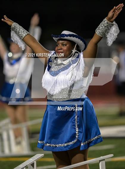 Thumbnail 3 in Birdville @ Centennial photogallery.