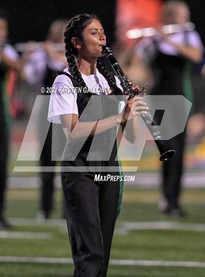 Thumbnail 1 in Birdville @ Centennial photogallery.