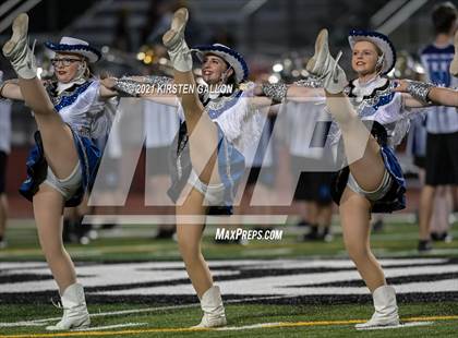 Thumbnail 3 in Birdville @ Centennial photogallery.
