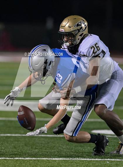 Thumbnail 3 in Birdville @ Centennial photogallery.