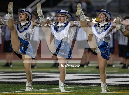 Thumbnail 2 in Birdville @ Centennial photogallery.
