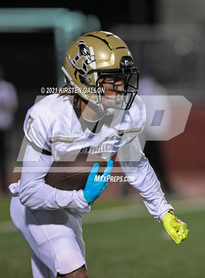 Thumbnail 2 in Birdville @ Centennial photogallery.
