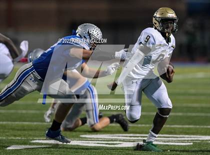 Thumbnail 3 in Birdville @ Centennial photogallery.