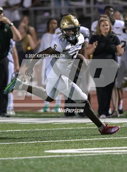 Thumbnail 2 in Birdville @ Centennial photogallery.
