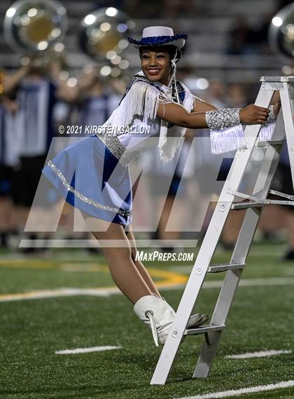 Thumbnail 1 in Birdville @ Centennial photogallery.