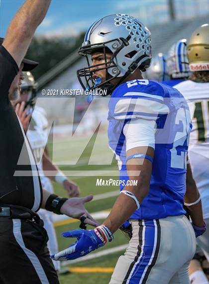 Thumbnail 3 in Birdville @ Centennial photogallery.
