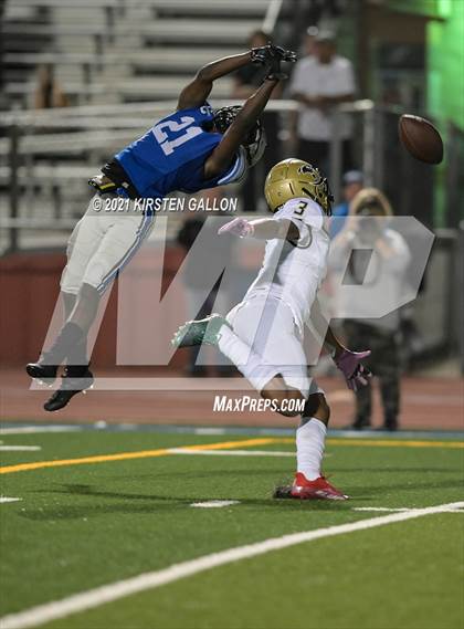 Thumbnail 2 in Birdville @ Centennial photogallery.