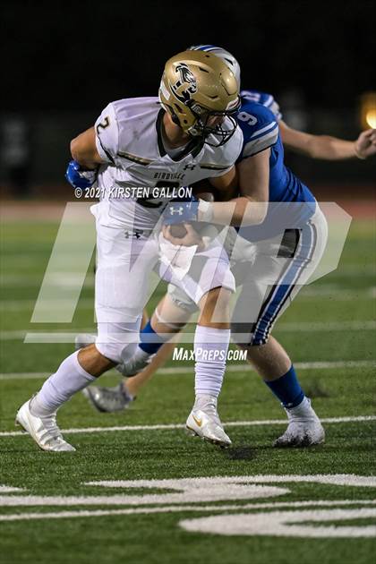 Thumbnail 2 in Birdville @ Centennial photogallery.