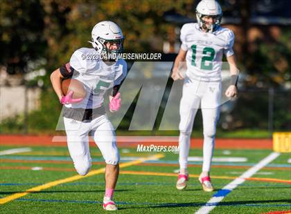 Thumbnail 3 in Locust Valley @ Seaford photogallery.