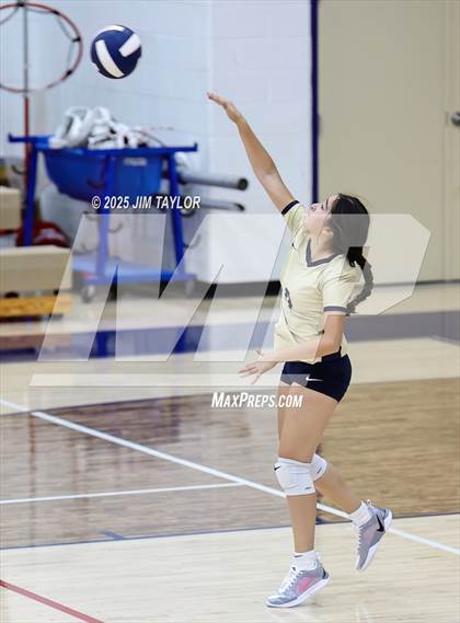 Thumbnail 2 in Saint Jo @ Perrin photogallery.