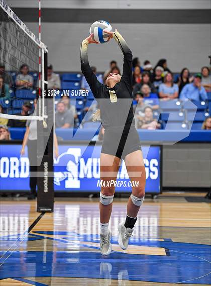 Thumbnail 2 in Mumford vs Round Top-Carmine photogallery.