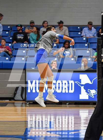 Thumbnail 1 in Mumford vs Round Top-Carmine photogallery.