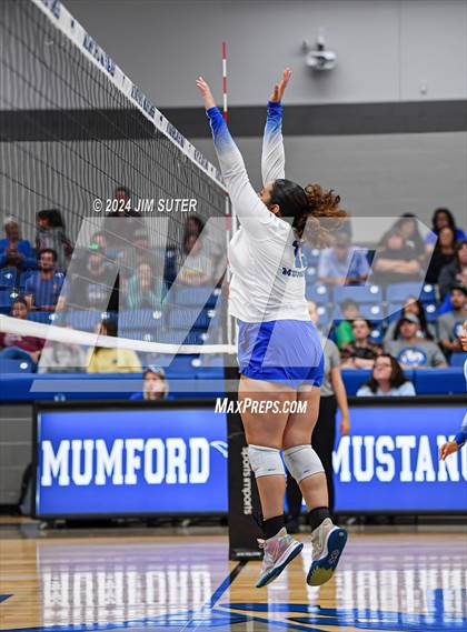 Thumbnail 1 in Mumford vs Round Top-Carmine photogallery.