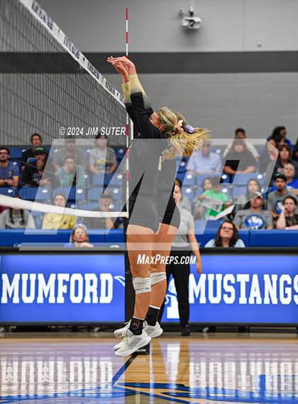 Thumbnail 2 in Mumford vs Round Top-Carmine photogallery.