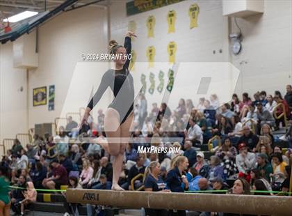 Thumbnail 3 in 2024 Shore Conference Gymnastics Championship photogallery.