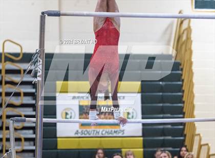 Thumbnail 3 in 2024 Shore Conference Gymnastics Championship photogallery.