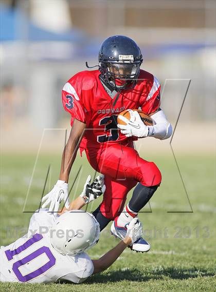 Thumbnail 1 in Sabino @ Sahuaro photogallery.