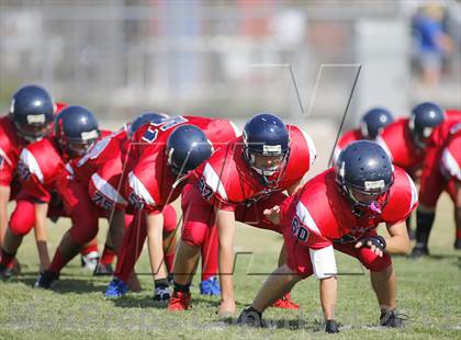 Thumbnail 1 in Sabino @ Sahuaro photogallery.