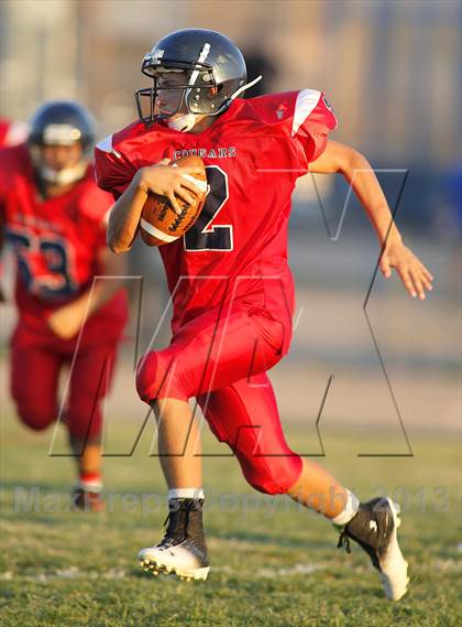 Thumbnail 1 in Sabino @ Sahuaro photogallery.