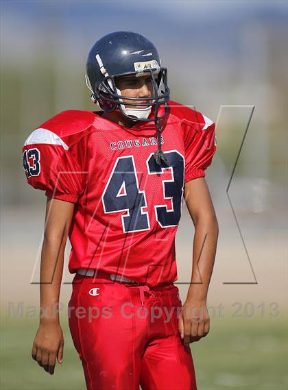 Thumbnail 1 in Sabino @ Sahuaro photogallery.