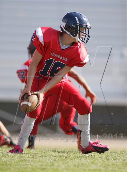 Thumbnail 2 in Sabino @ Sahuaro photogallery.