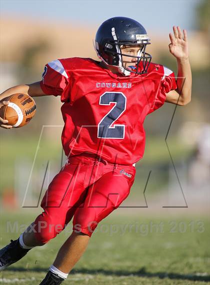 Thumbnail 1 in Sabino @ Sahuaro photogallery.