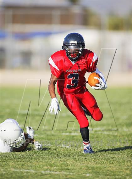 Thumbnail 3 in Sabino @ Sahuaro photogallery.