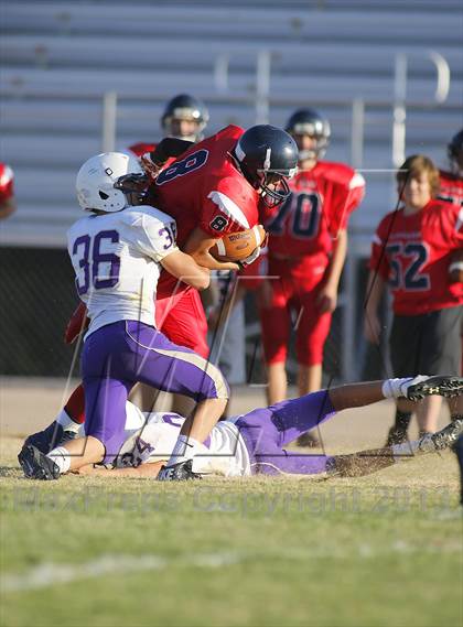 Thumbnail 1 in Sabino @ Sahuaro photogallery.