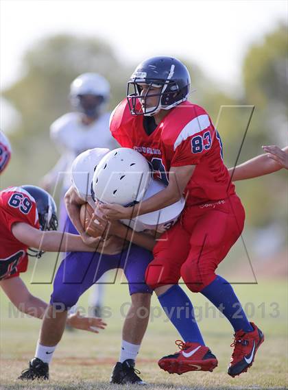Thumbnail 1 in Sabino @ Sahuaro photogallery.