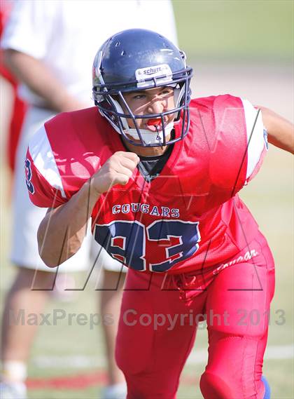 Thumbnail 1 in Sabino @ Sahuaro photogallery.