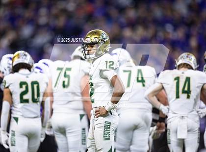 Thumbnail 3 in Brownsburg vs Westfield (IHSAA 6A Final) photogallery.