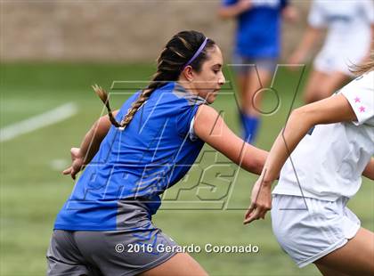 Thumbnail 3 in Capital Christian vs. Amador (CIF SJS D5 Final) photogallery.