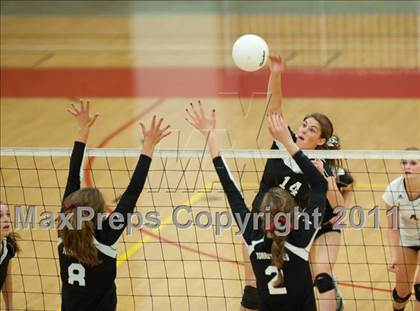 Thumbnail 2 in Torrey Pines vs. Rancho Buena Vista (CIF SDS D1 Final) photogallery.