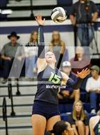 Photo from the gallery "Green Canyon @ Ridgeline"