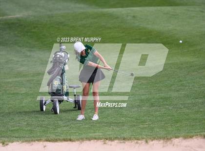 Thumbnail 2 in CHSAA 4A State Championship - Day 1 photogallery.