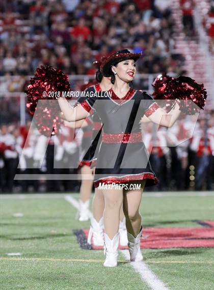 Thumbnail 2 in La Joya @ Palmview photogallery.
