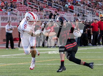 Thumbnail 1 in La Joya @ Palmview photogallery.