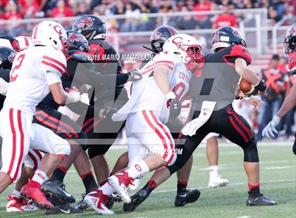 Thumbnail 2 in La Joya @ Palmview photogallery.