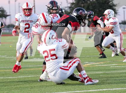 Thumbnail 2 in La Joya @ Palmview photogallery.