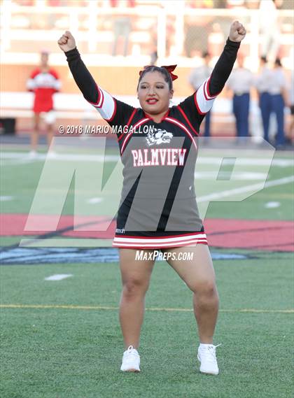 Thumbnail 2 in La Joya @ Palmview photogallery.