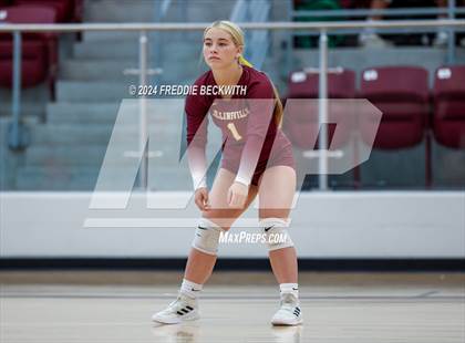 Thumbnail 2 in Collinsville vs. Pilot Point (Hwy 75 Volleyfest) photogallery.