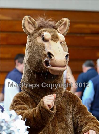 Thumbnail 3 in New Milford @ Immaculate photogallery.