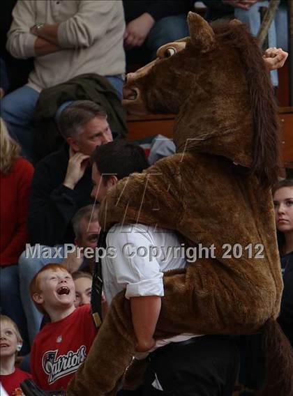 Thumbnail 3 in New Milford @ Immaculate photogallery.
