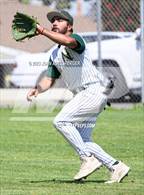 Photo from the gallery "Gardena @ Narbonne"