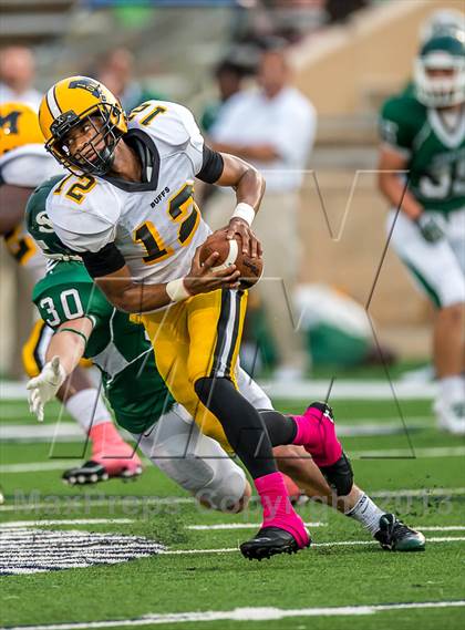 Thumbnail 3 in Fort Bend Marshall @ Stratford photogallery.