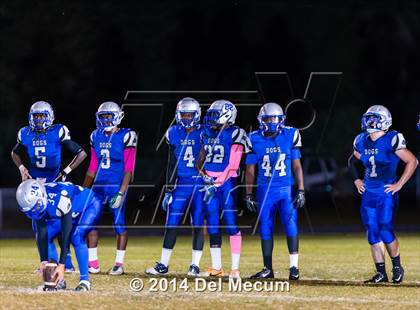 Thumbnail 1 in Hardee @ DeSoto County photogallery.