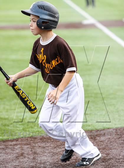 Thumbnail 2 in St. Francis vs. Archbishop Mitty photogallery.