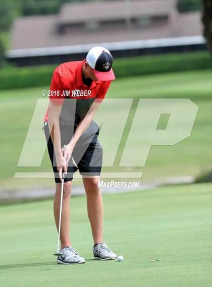 Thumbnail 2 in East Pasco County Match  photogallery.