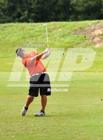 Thumbnail 1 in East Pasco County Match  photogallery.